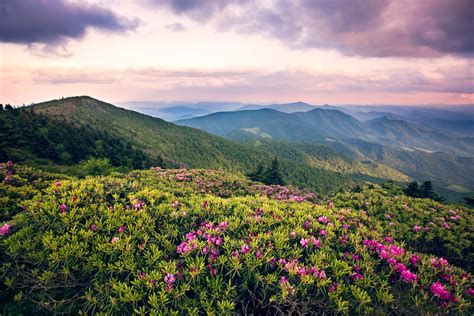 Roan mountain state park roan mountain tn - Discover Tennessee’s natural, cultural and historic heritage. Our state parks offer diverse and varied natural landscapes, family-friendly recreational activities, affordable and varied lodging accommodations, volunteer opportunities and hundreds of …